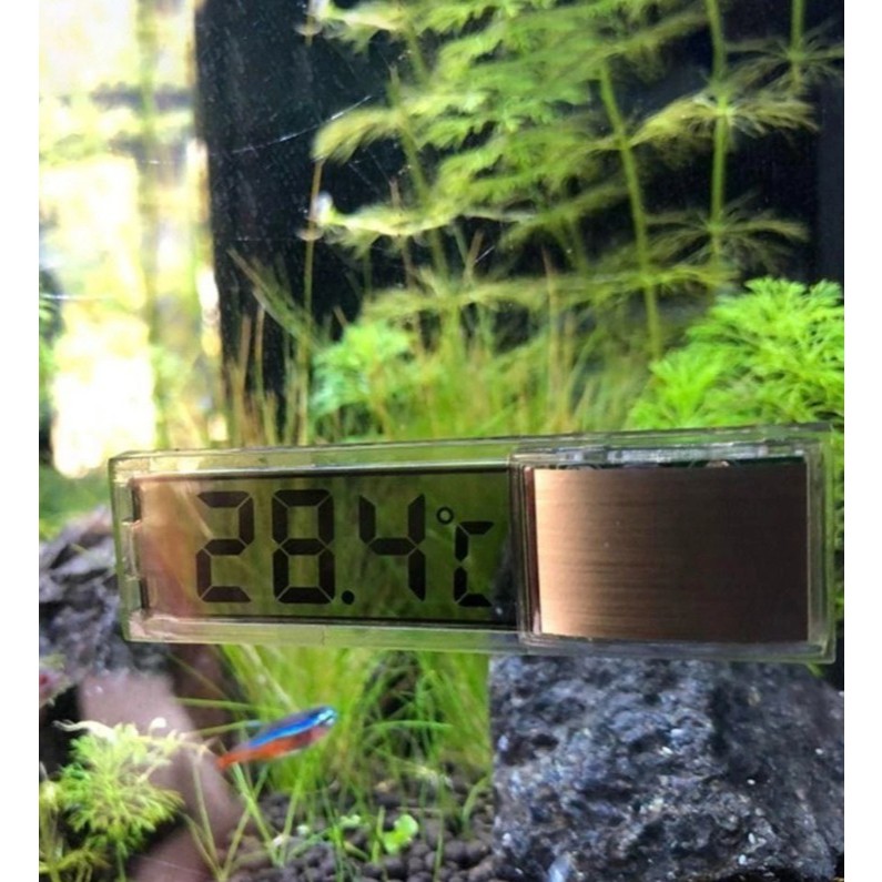 Nhiệt Kế Bể Cá Điện Tử Kỹ Thuật Số Màn Hình Hiển Thị Giám Sát Màn Hình 3D Miếng Dán Bể Cá - Ảnh 3