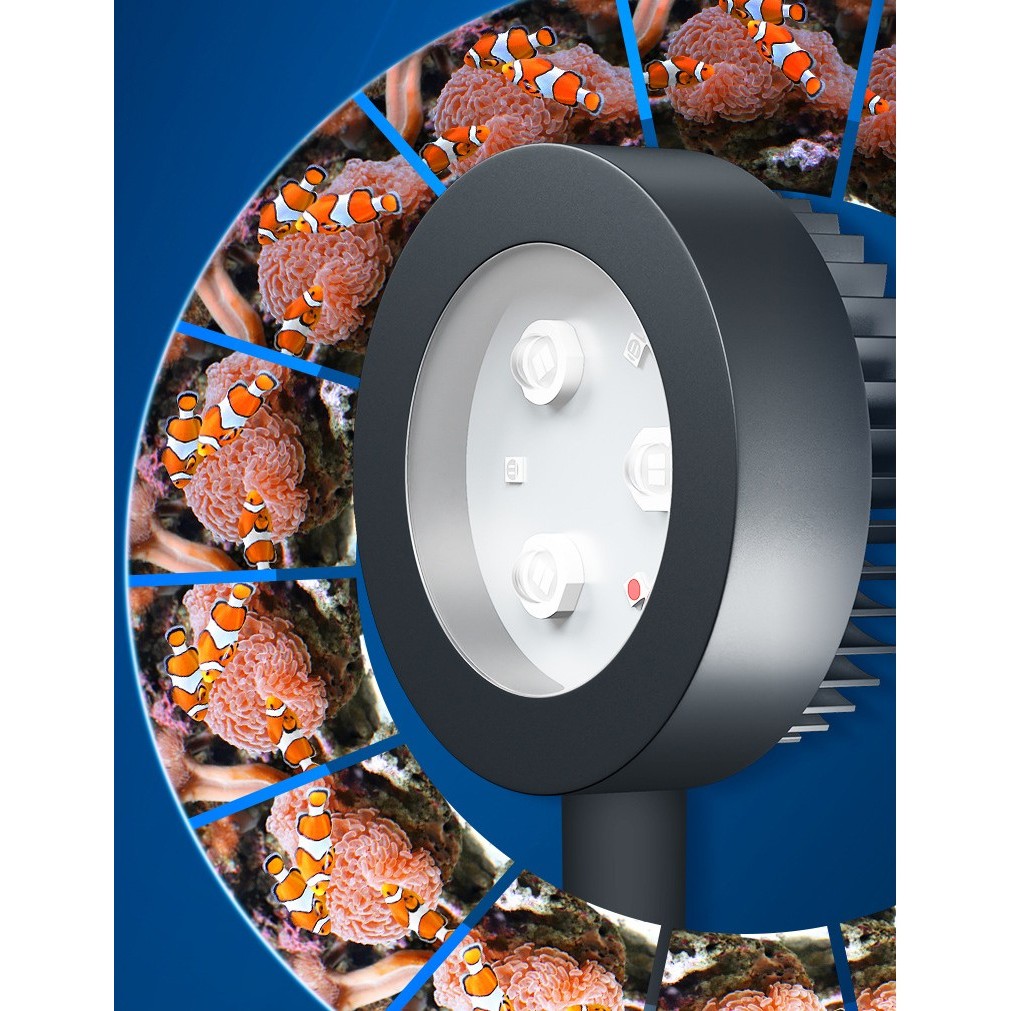 Đèn LED chiếu sáng bể cá biển - Ảnh 4