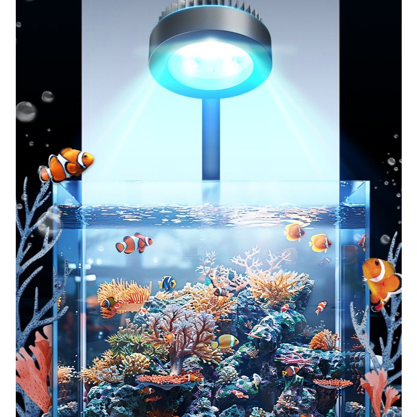 Đèn LED chiếu sáng bể cá biển - Ảnh 3