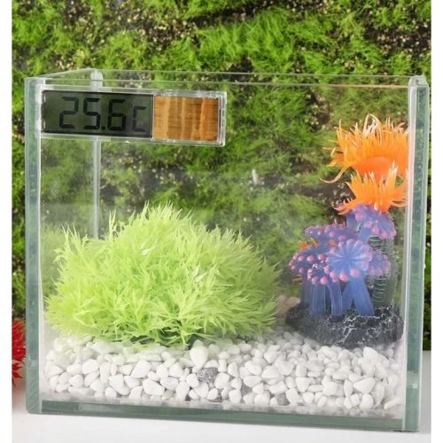 Nhiệt Kế Bể Cá Điện Tử Kỹ Thuật Số Màn Hình Hiển Thị Giám Sát Màn Hình 3D Miếng Dán Bể Cá