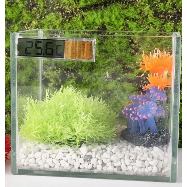 Nhiệt Kế Bể Cá Điện Tử Kỹ Thuật Số Màn Hình Hiển Thị Giám Sát Màn Hình 3D Miếng Dán Bể Cá